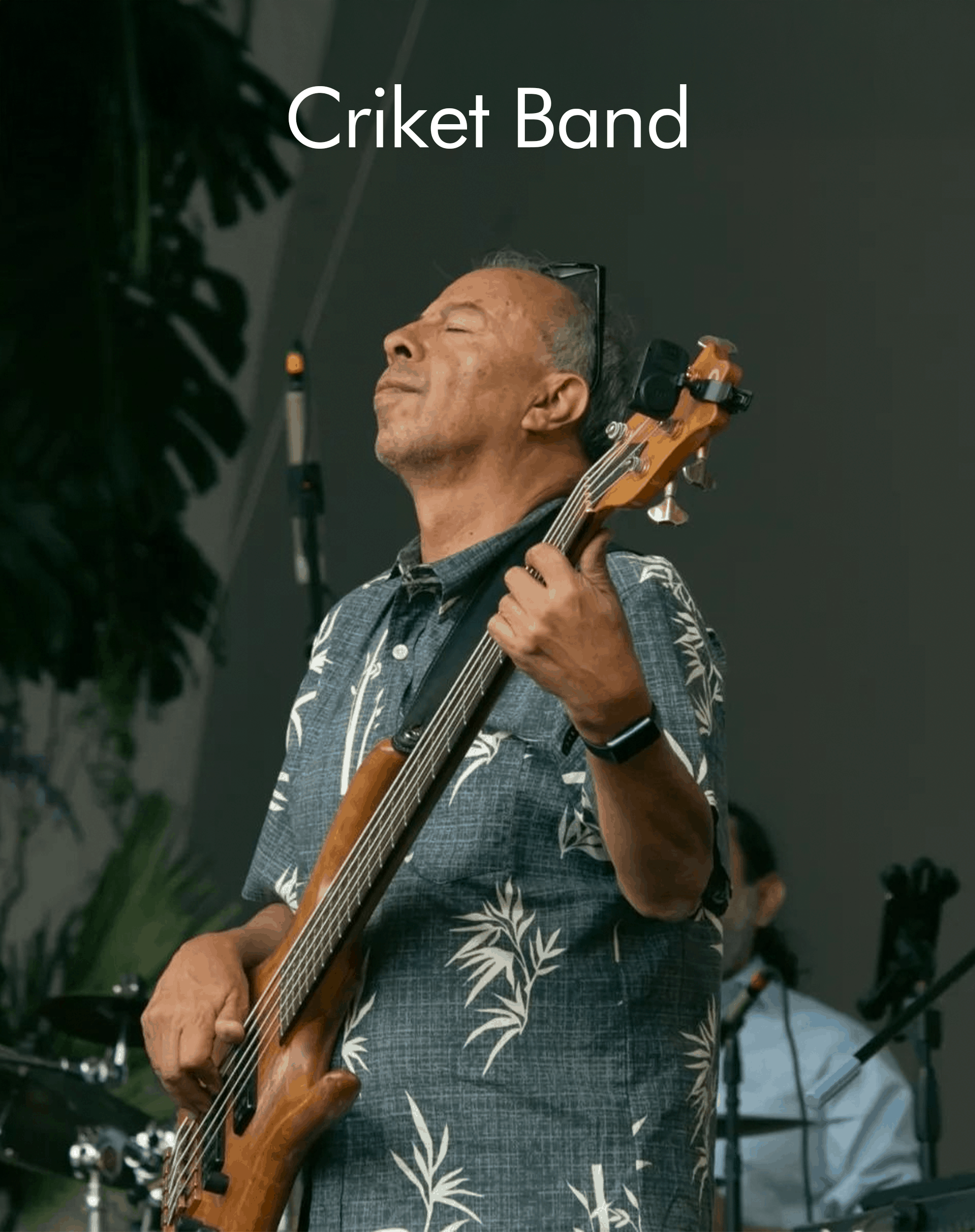 Criketh Band