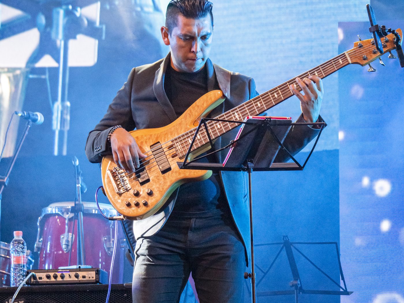 Luis Martínez en concierto